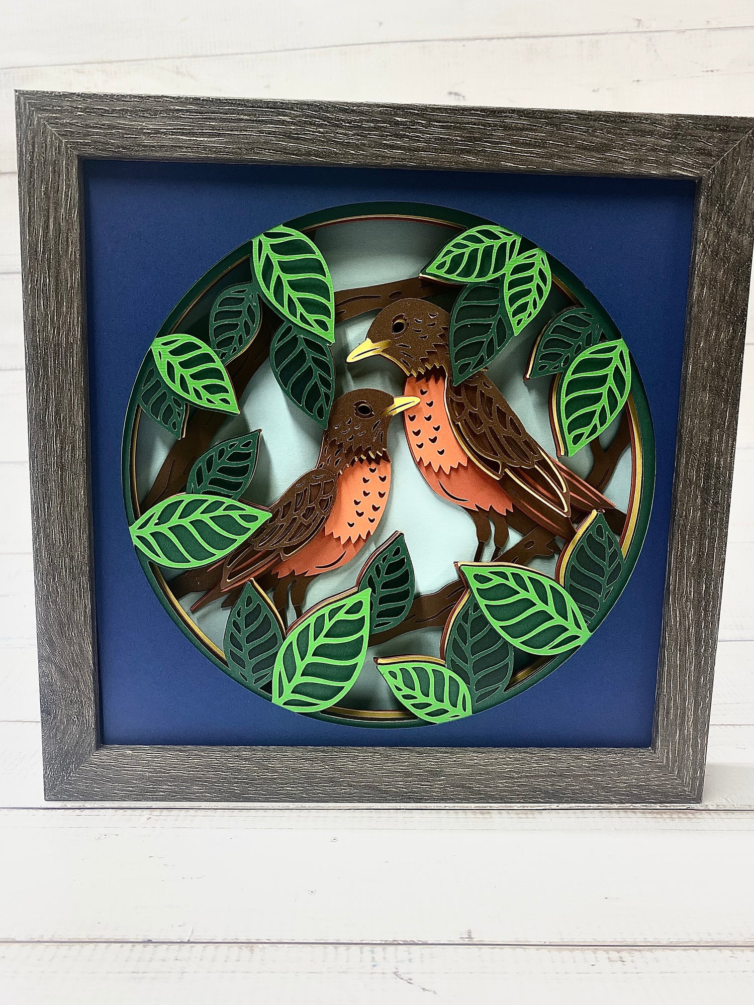 Nature Shadow Boxes