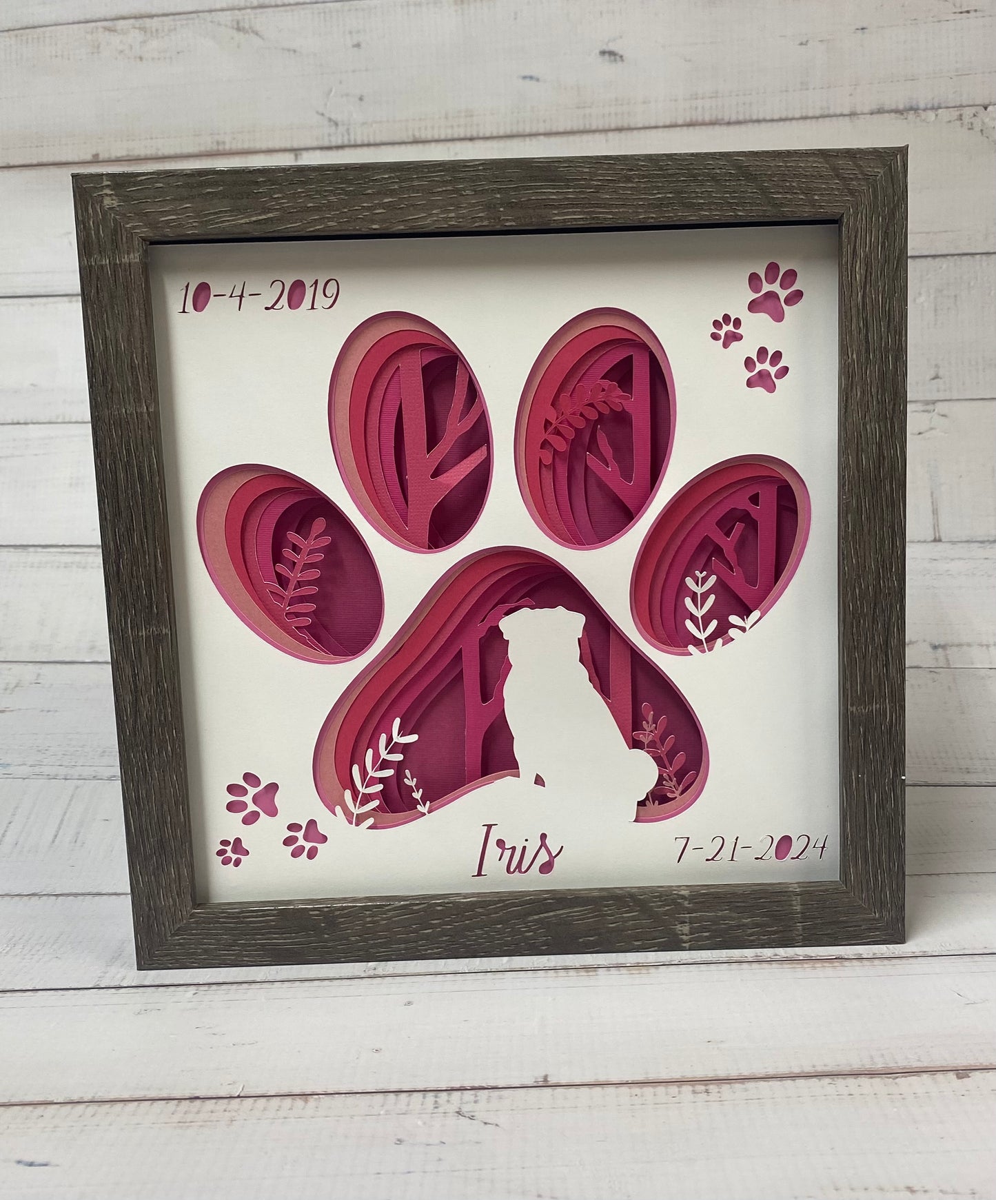 Dog or Cat paw print shadow box