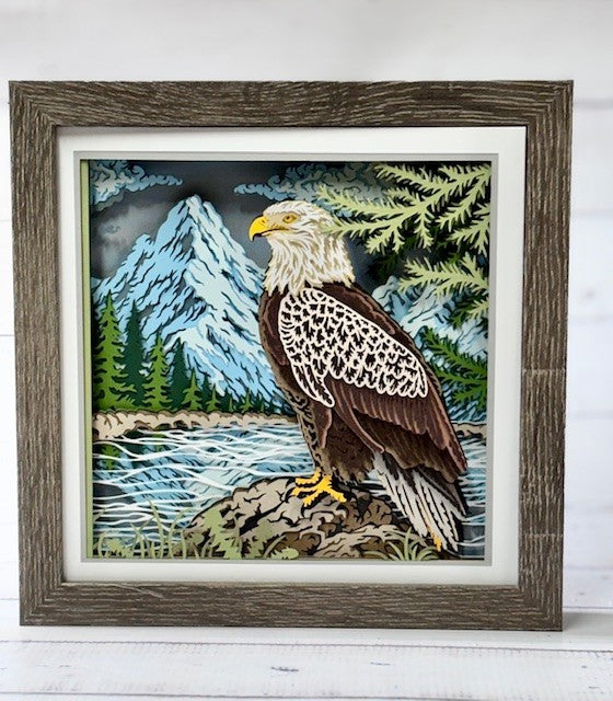Eagle Shadow Box