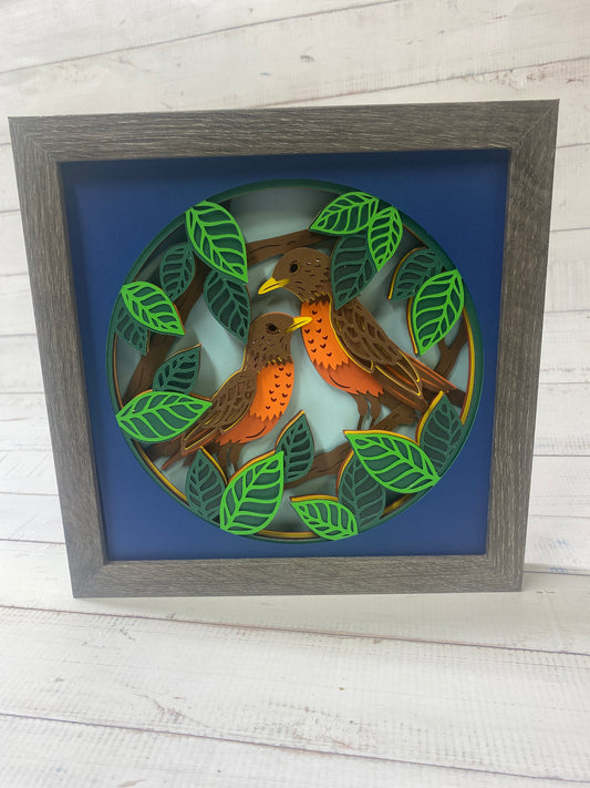 Robin Shadow Box