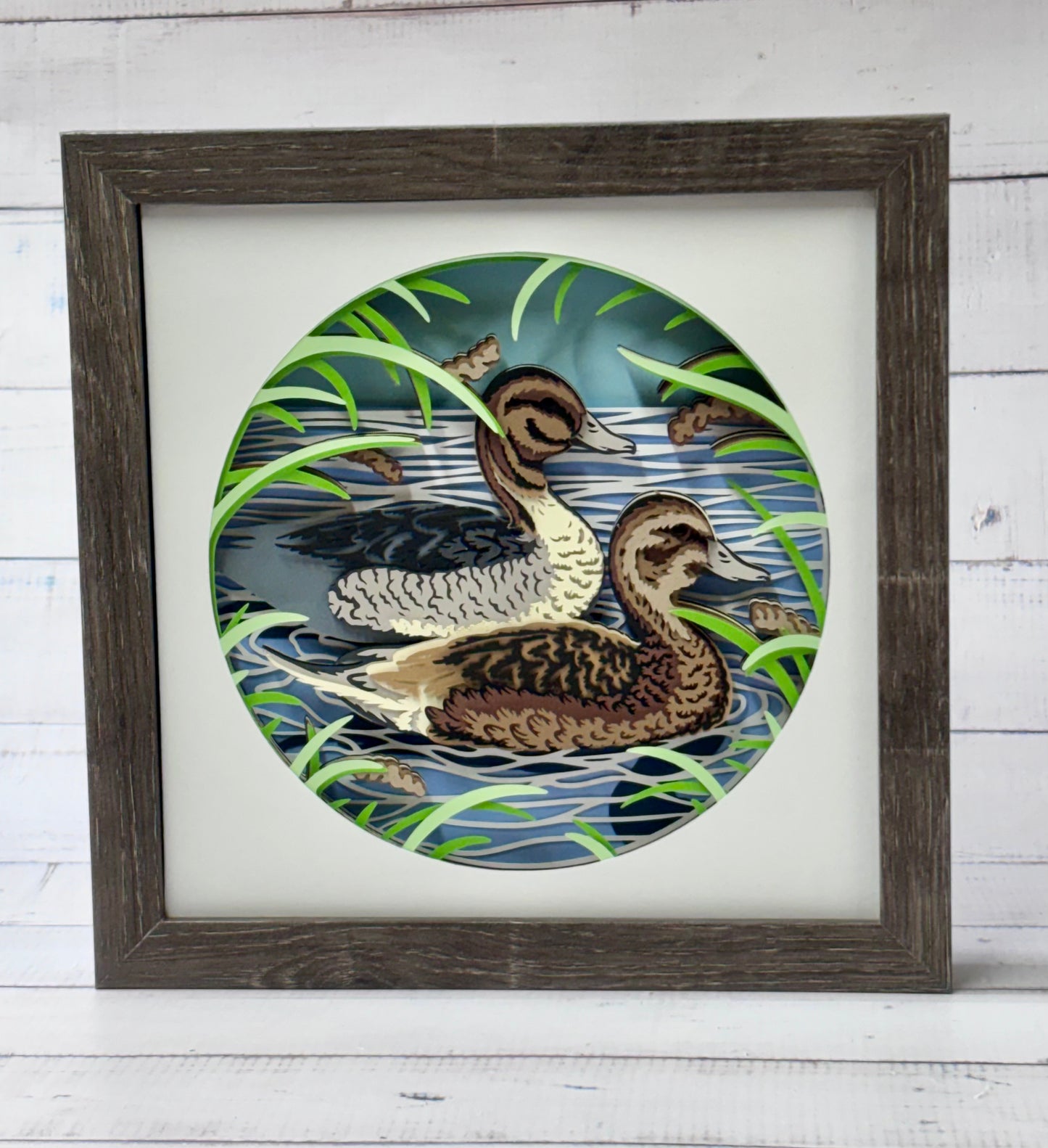 Pintail Duck Shadow Box