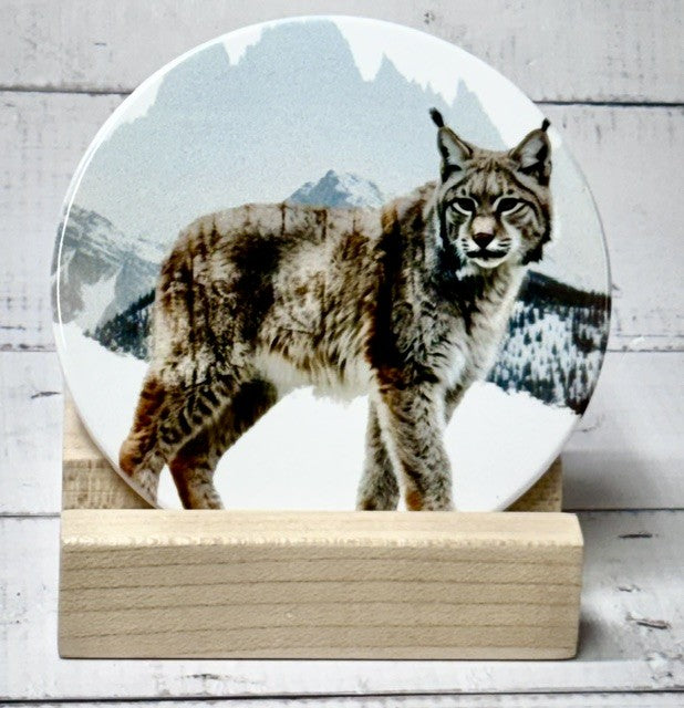 Wildlife Coasters