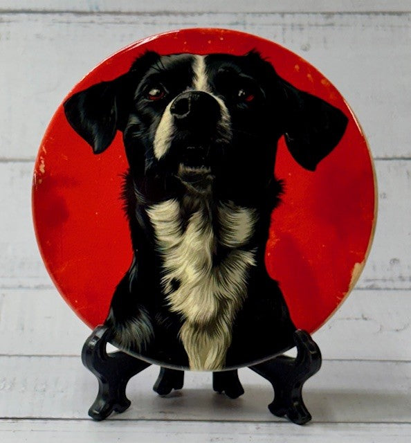Dog Coasters