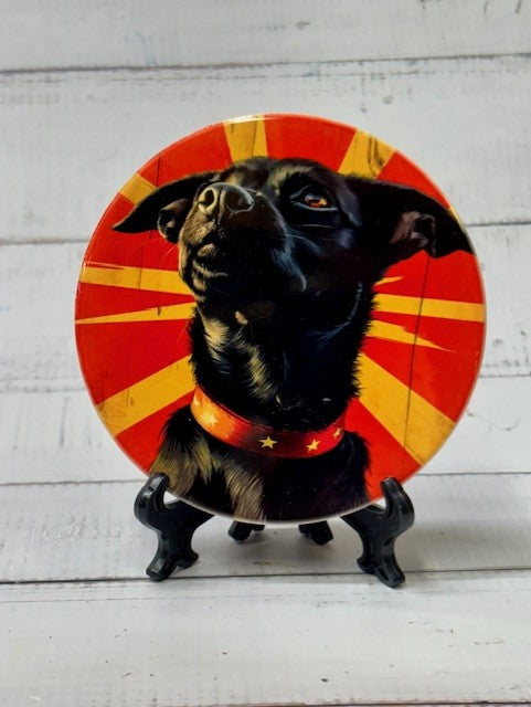Dog Coasters