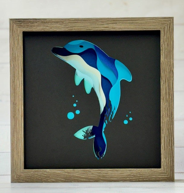 Dolphin Shadow Box