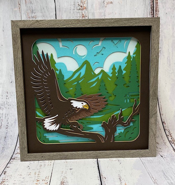 Bald Eagle Shadow Box