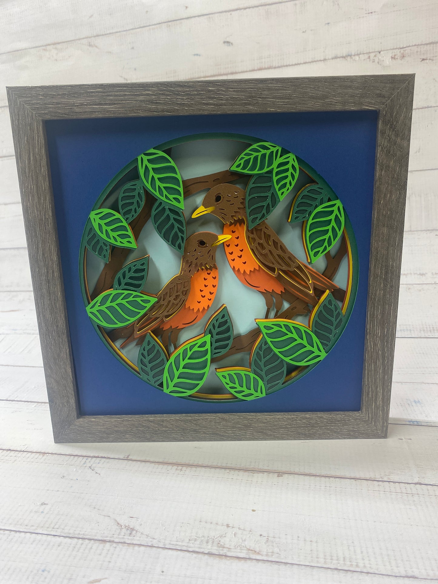 Robin Shadow Box