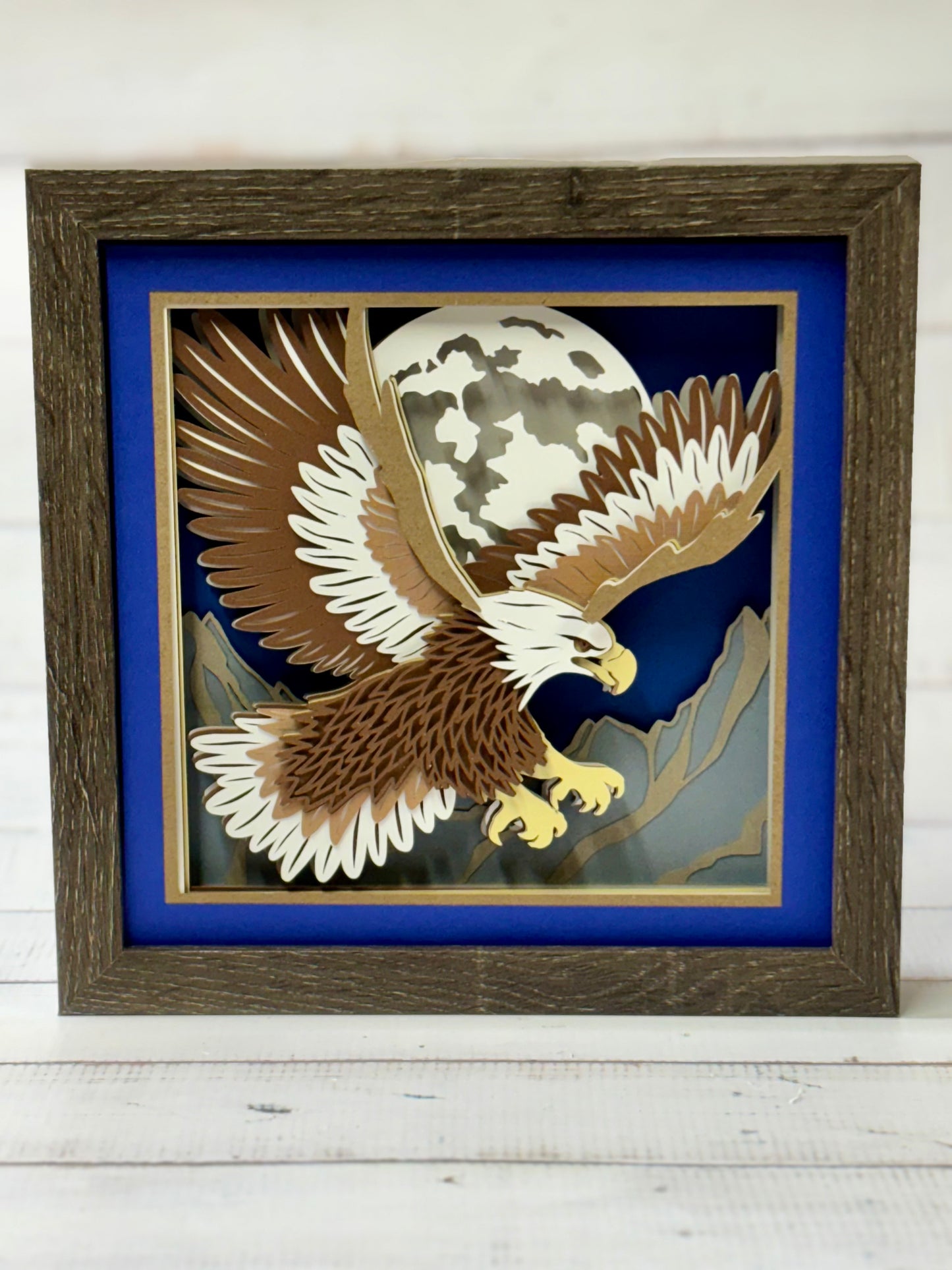 Bald Eagle Shadow Box