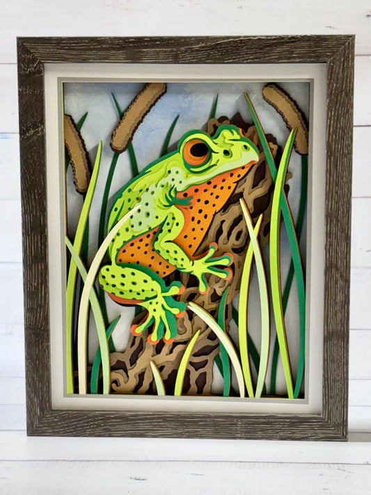 Frog Shadow Box