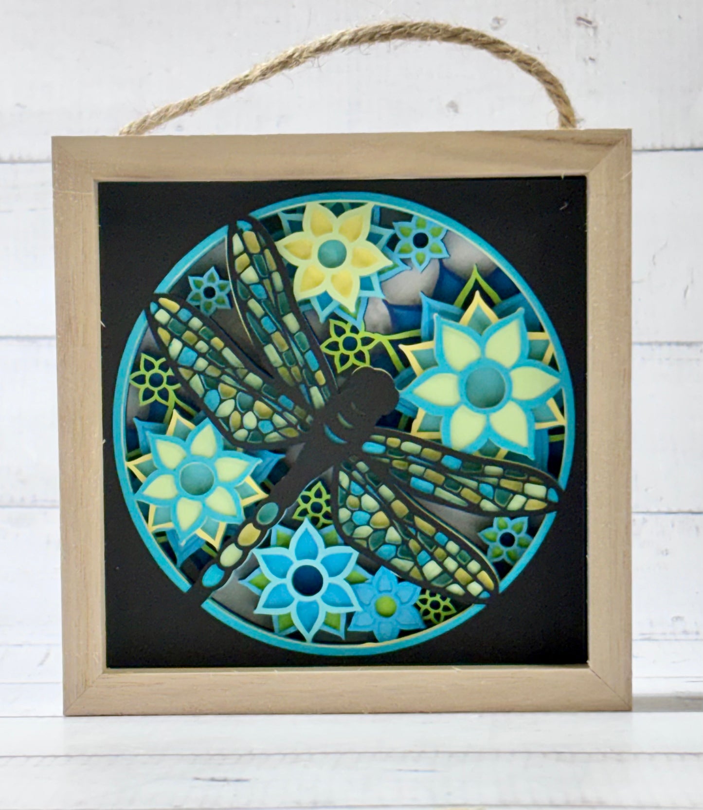 Dragonfly Shadow Box