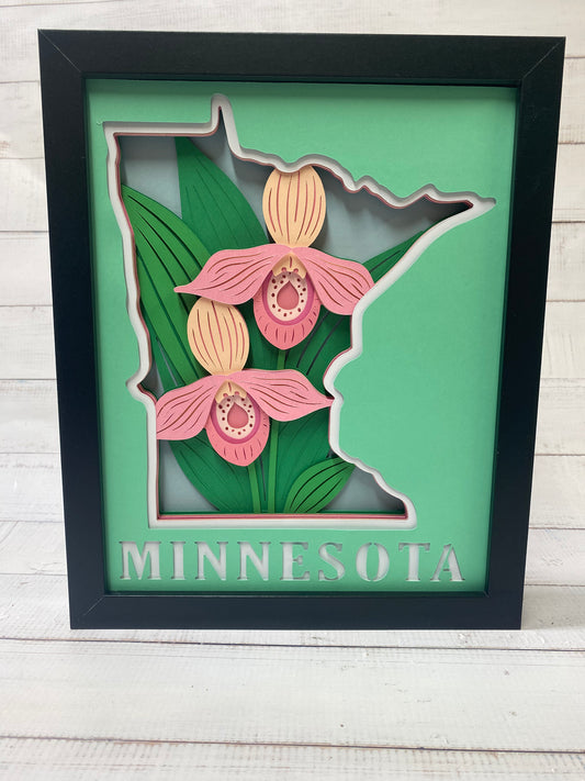 Minnesota Shadow Box