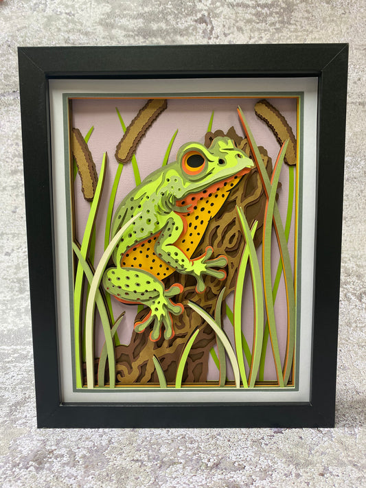 Frog Shadow Box