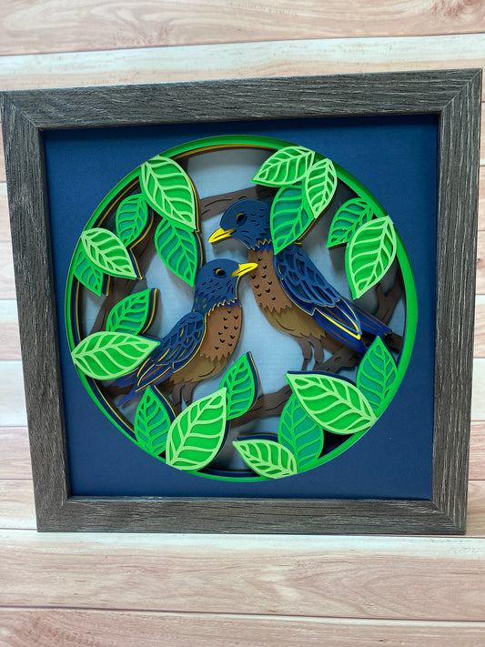 Robin Shadow Box