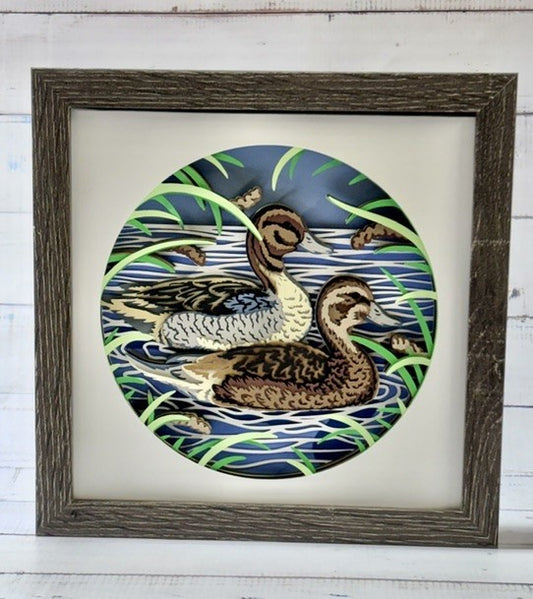 Pintail Duck Shadow Box