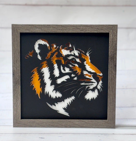 Tiger Face Shadow box