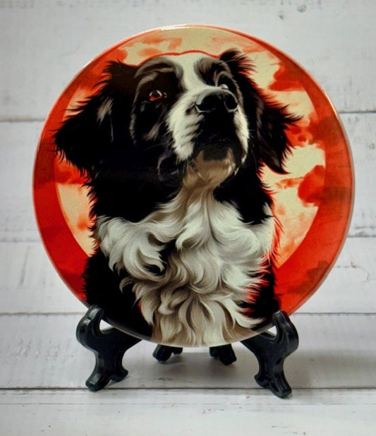 Dog Coasters