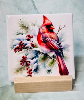 Cardinal Square Coasters