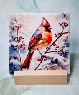 Cardinal Square Coasters