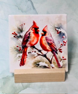 Cardinal Square Coasters